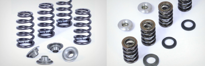 Valve Spring Kit